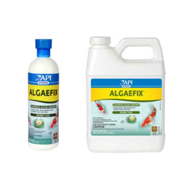 AlgaeFix
