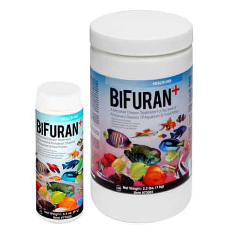 BiFuran+